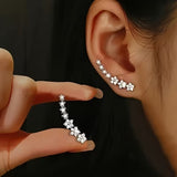 Silber