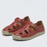 Rot